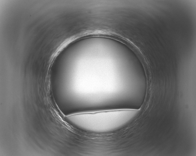 X0000086301367200703300917