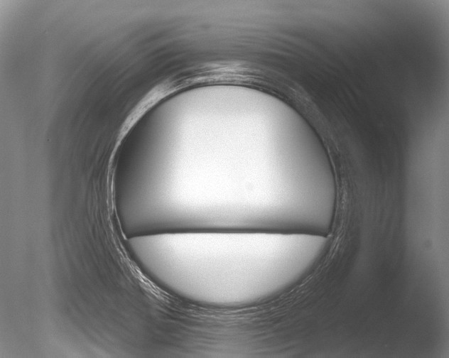 X0000086301370200703300917