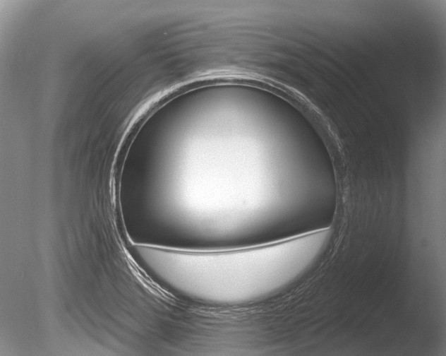 X0000086301372200703300917