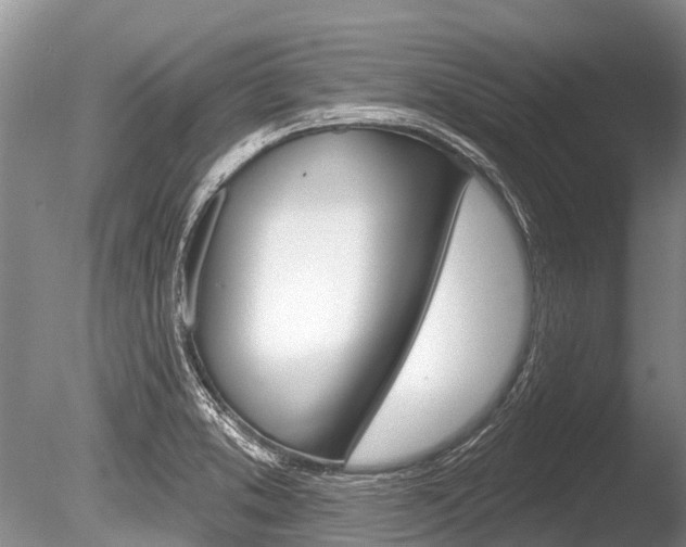 X0000086301373200703300917