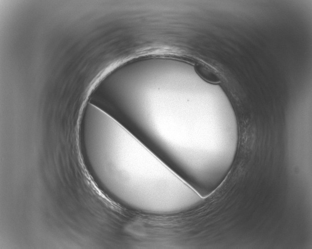 X0000086301375200703300917