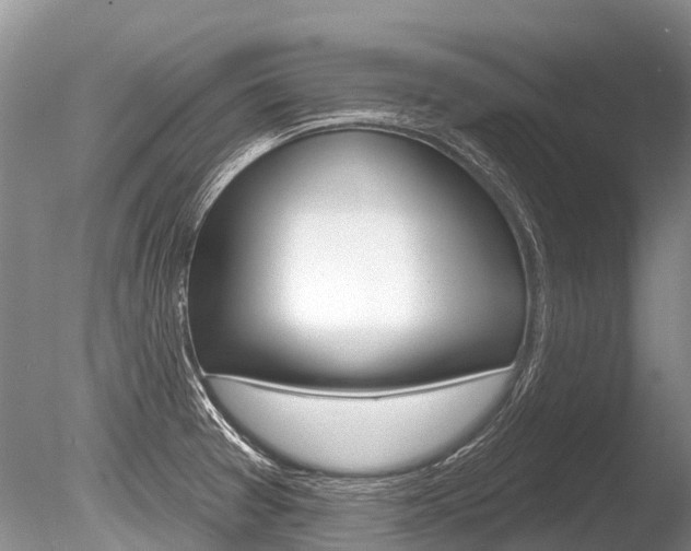 X0000086301377200703300917