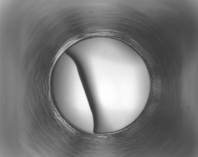 X0000086301378200703300917