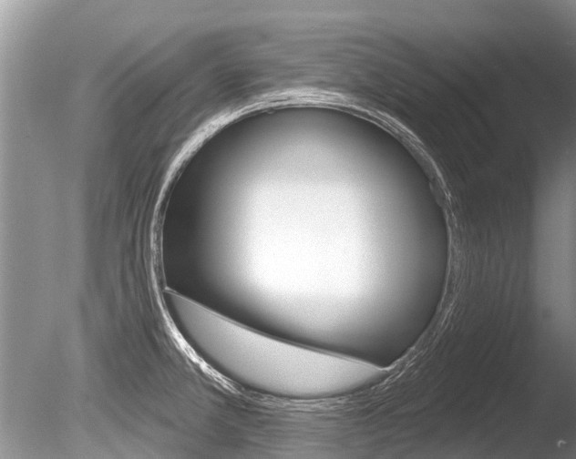 X0000086301381200703300917