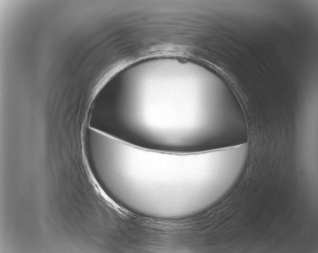 X0000086301383200703300917
