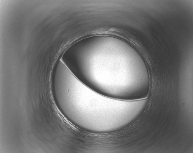 X0000086301384200703300917