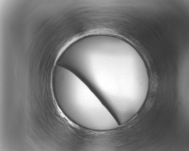 X0000086301390200703300917