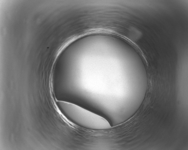 X0000086301391200703300917