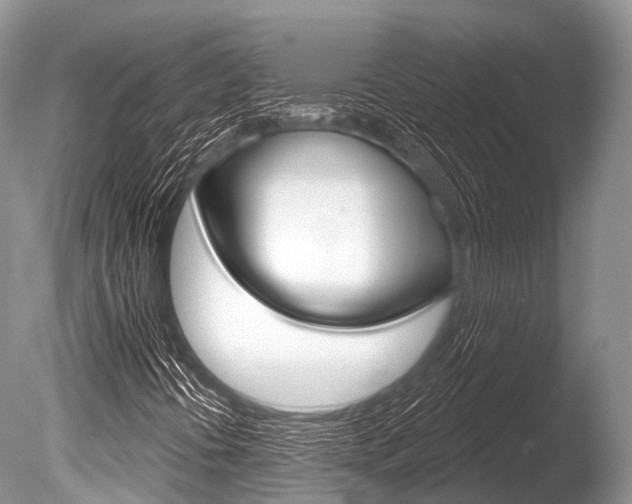 X0000086301394200703300916