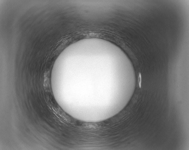 X0000086301395200703300916