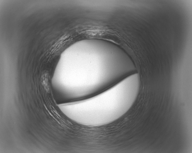 X0000086301396200703300916