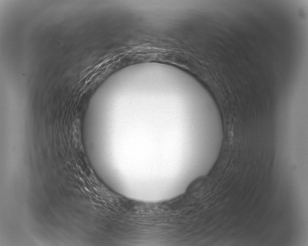 X0000086301397200703300916