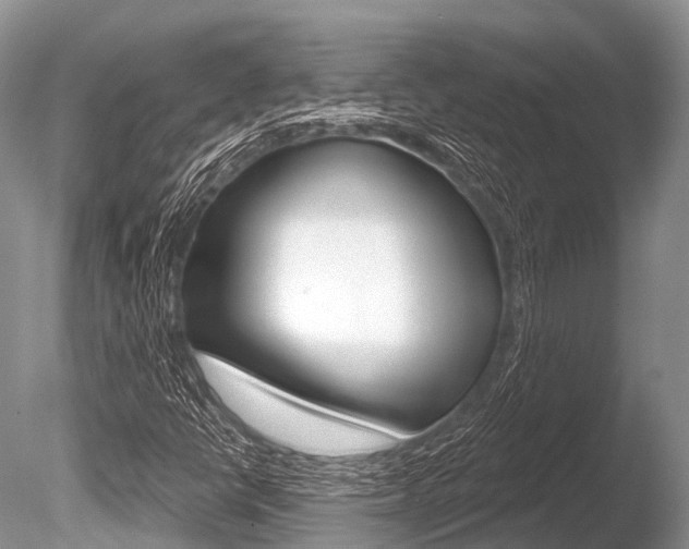 X0000086301398200703300916