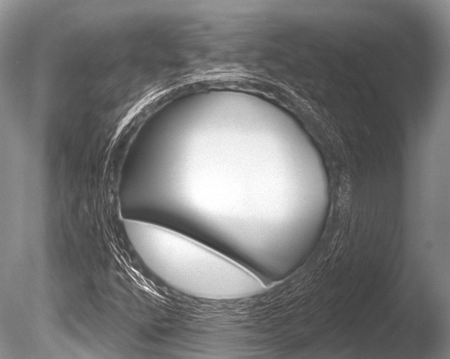 X0000086301400200703300916