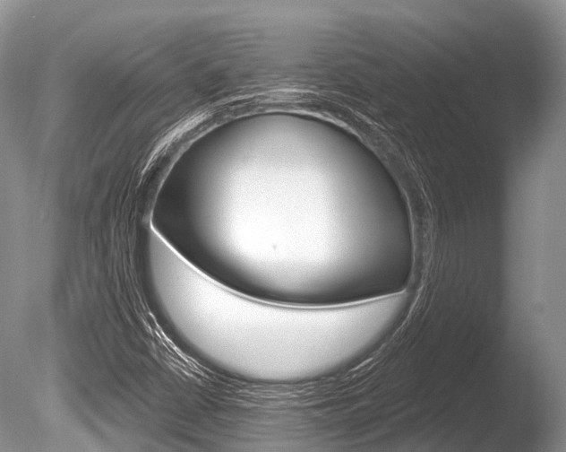 X0000086301402200703300916