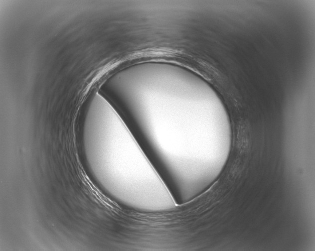 X0000086301404200703300916