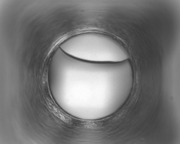 X0000086301405200703300916