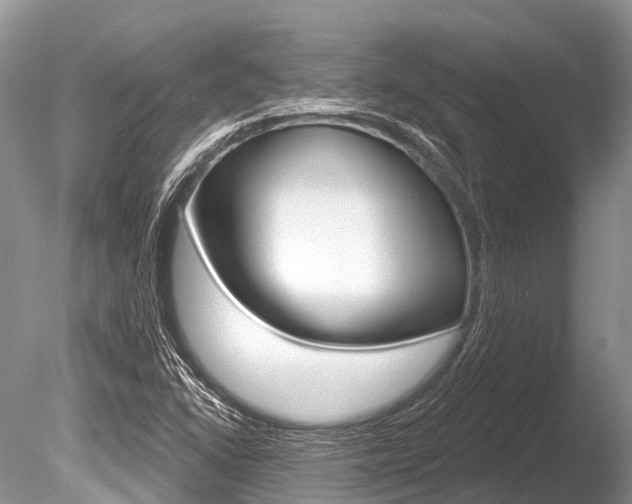 X0000086301406200703300916