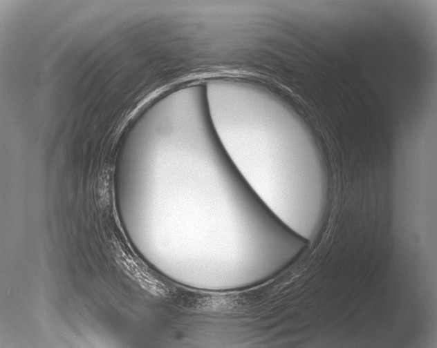 X0000086301409200703300916