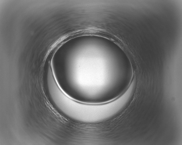 X0000086301410200703300916