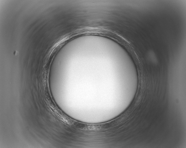 X0000086301411200703300916