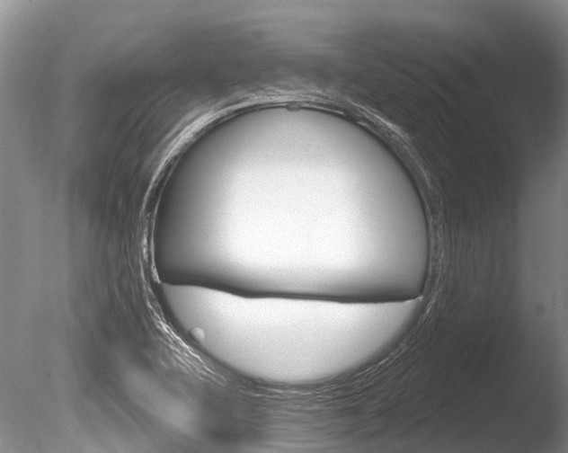 X0000086301415200703300916