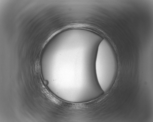 X0000086301417200703300916
