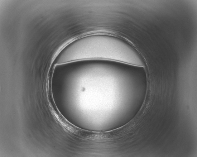 X0000086301418200703300916