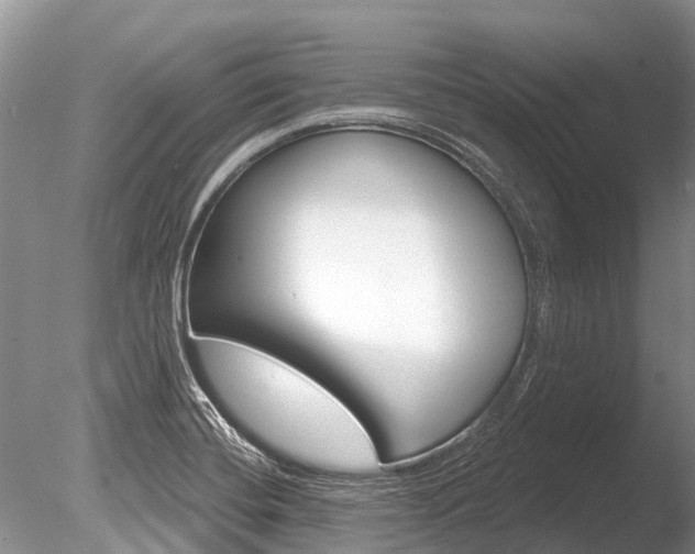 X0000086301420200703300916