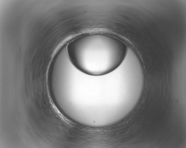 X0000086301422200703300916