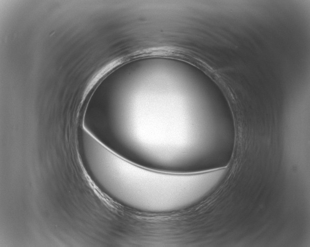 X0000086301426200703300916
