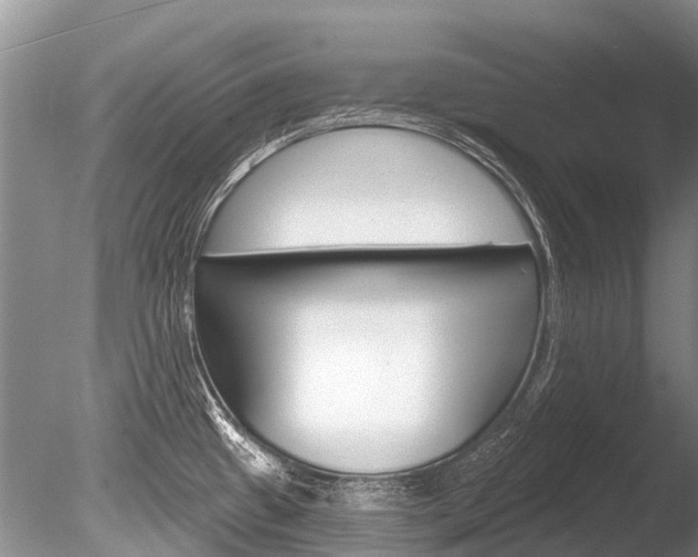X0000086301433200703300916