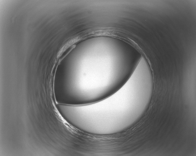 X0000086301434200703300916