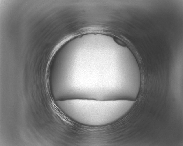 X0000086301435200703300916