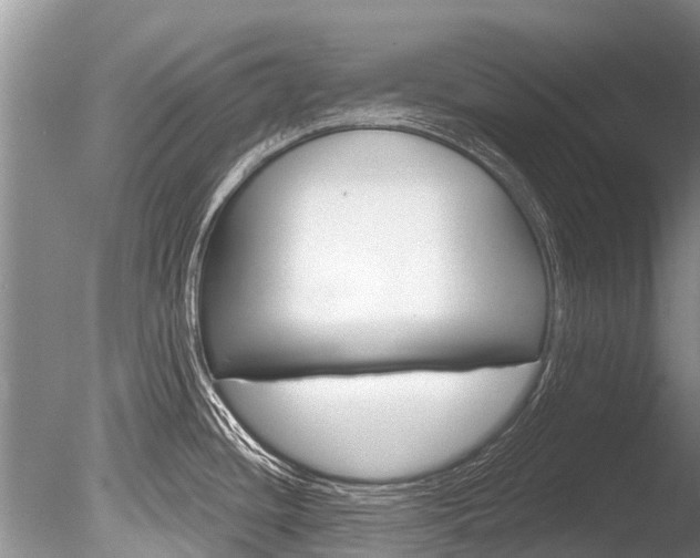 X0000086301436200703300917
