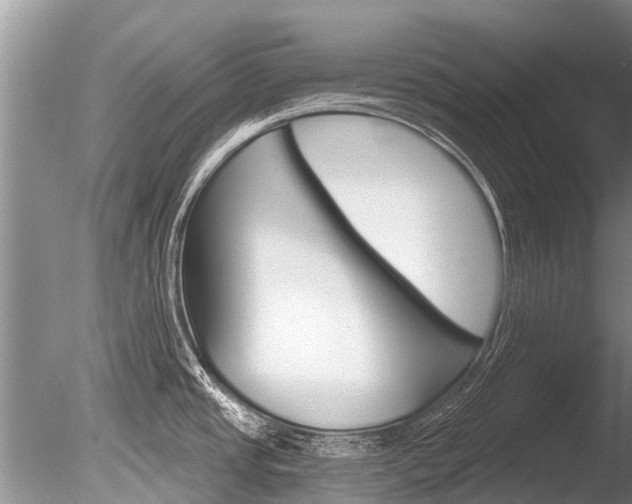 X0000086301437200703300917