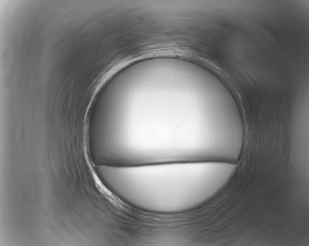 X0000086301439200703300917