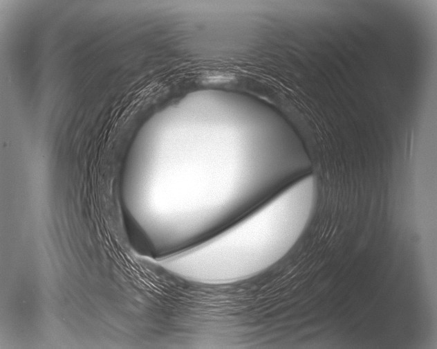 X0000086301441200703300916