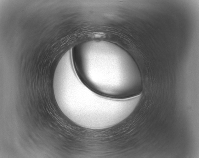 X0000086301442200703300916