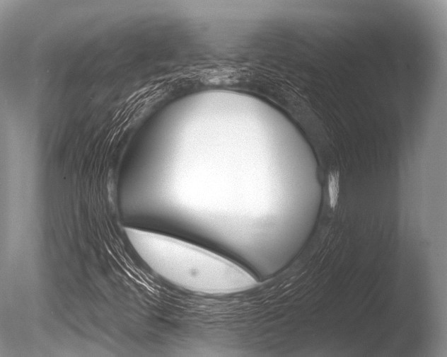 X0000086301444200703300916