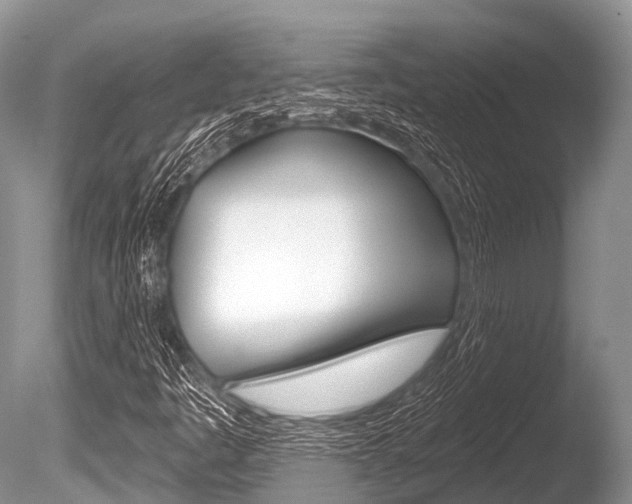 X0000086301445200703300916