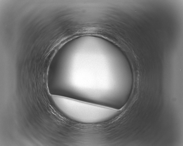 X0000086301449200703300916