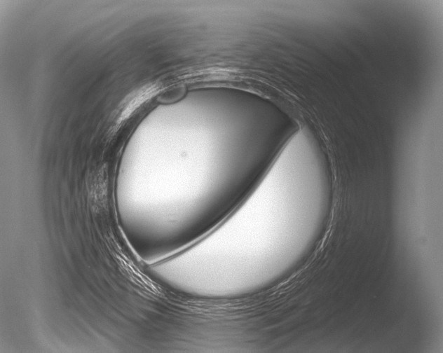X0000086301450200703300916