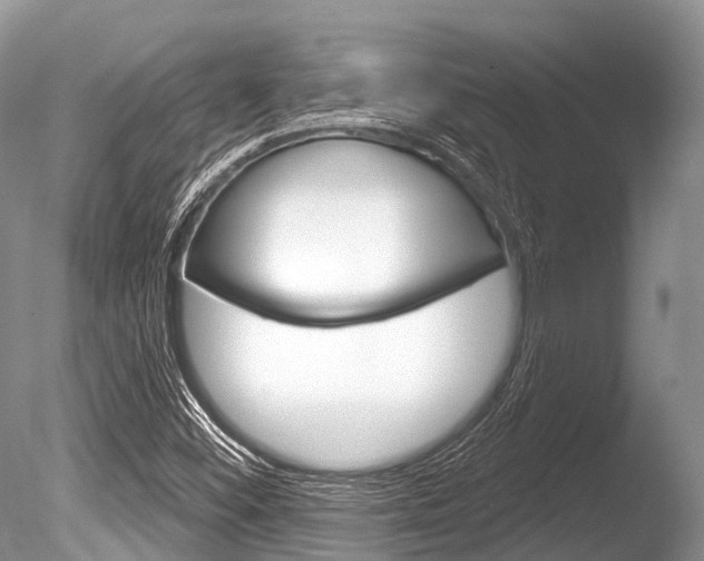 X0000086301452200703300916