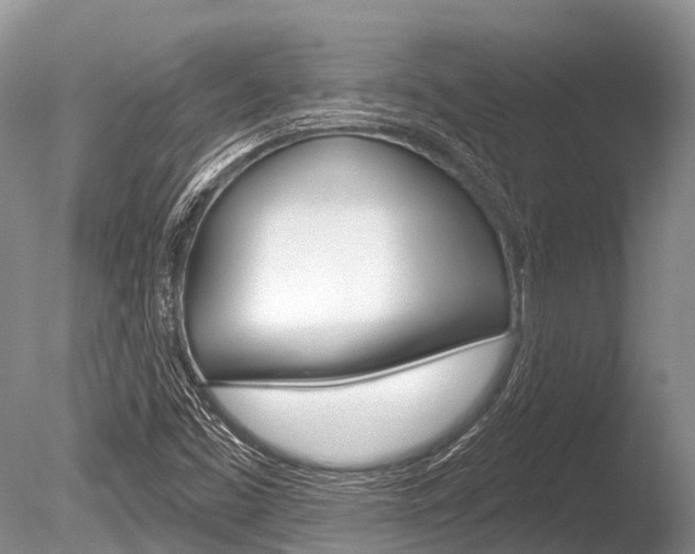 X0000086301453200703300916