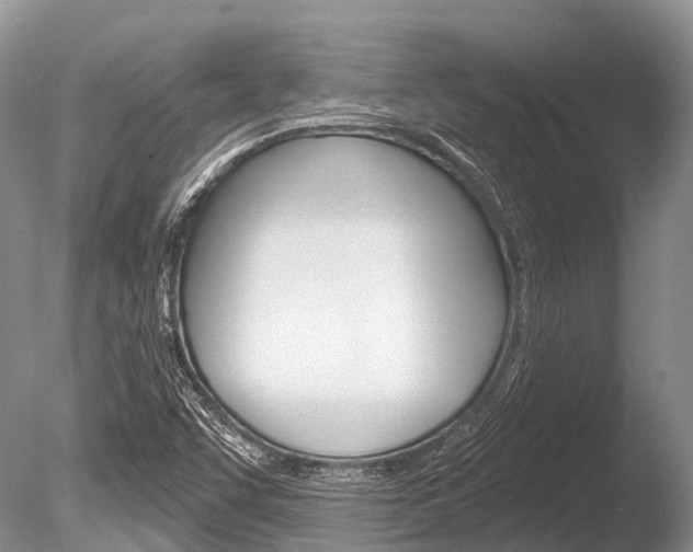 X0000086301455200703300916