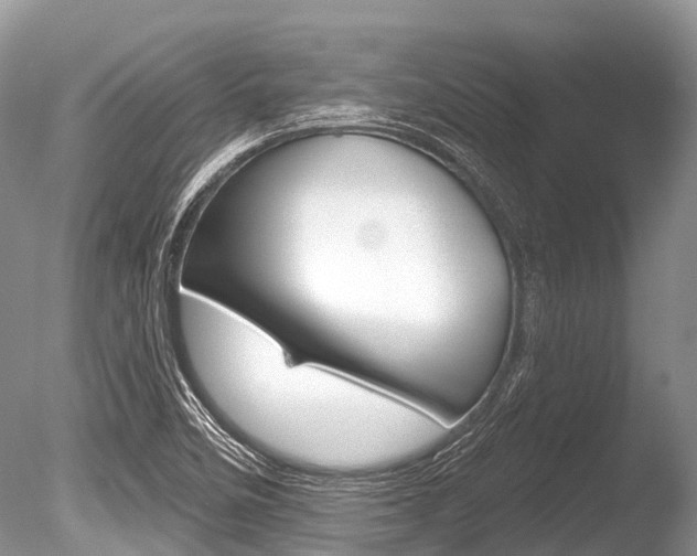 X0000086301458200703300915