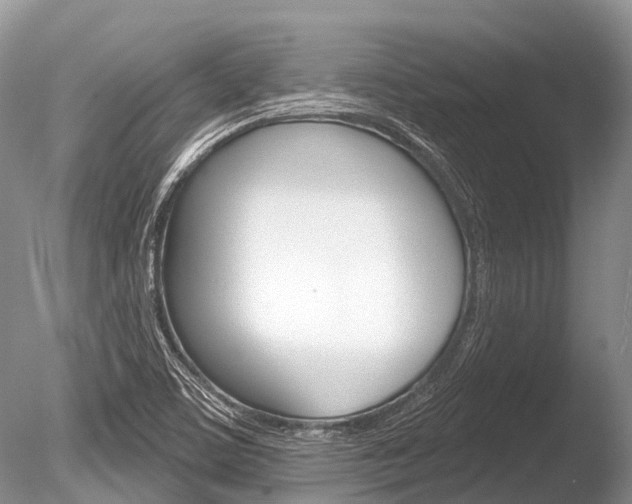 X0000086301459200703300915