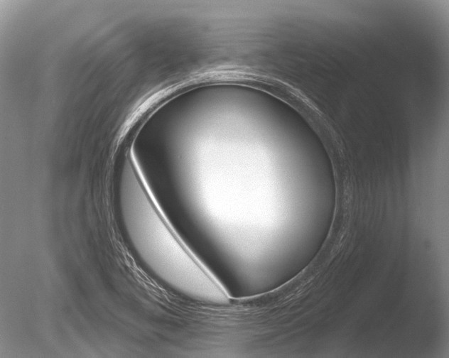 X0000086301461200703300915
