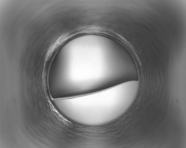 X0000086301464200703300915